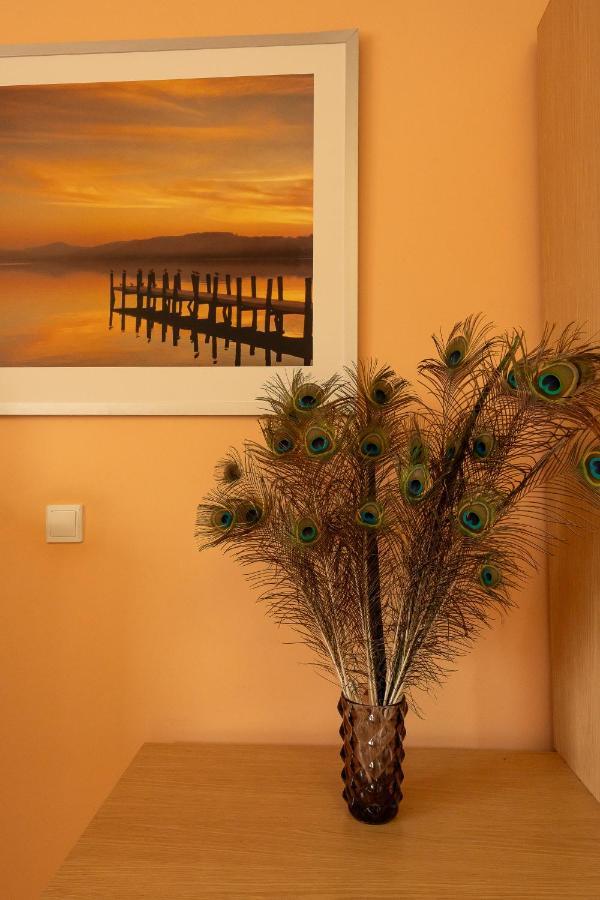Mirador Canteras-auditorio Appartement *